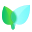 wisehealth.io favicon